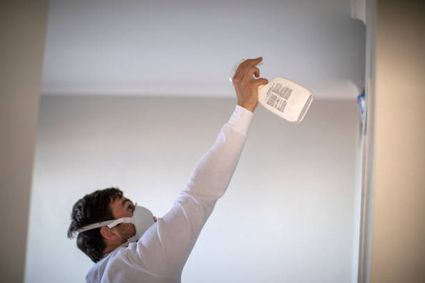 Best Emergency Mold Remediation in Willimantic, CT